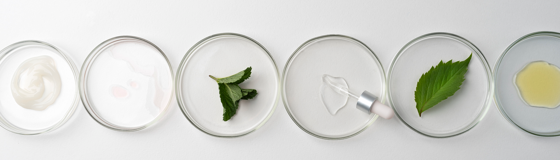Ingredients – Out-N-Out Skincare